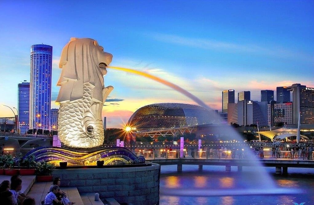 Vietnam visa extension for Singaporean citizens 2019