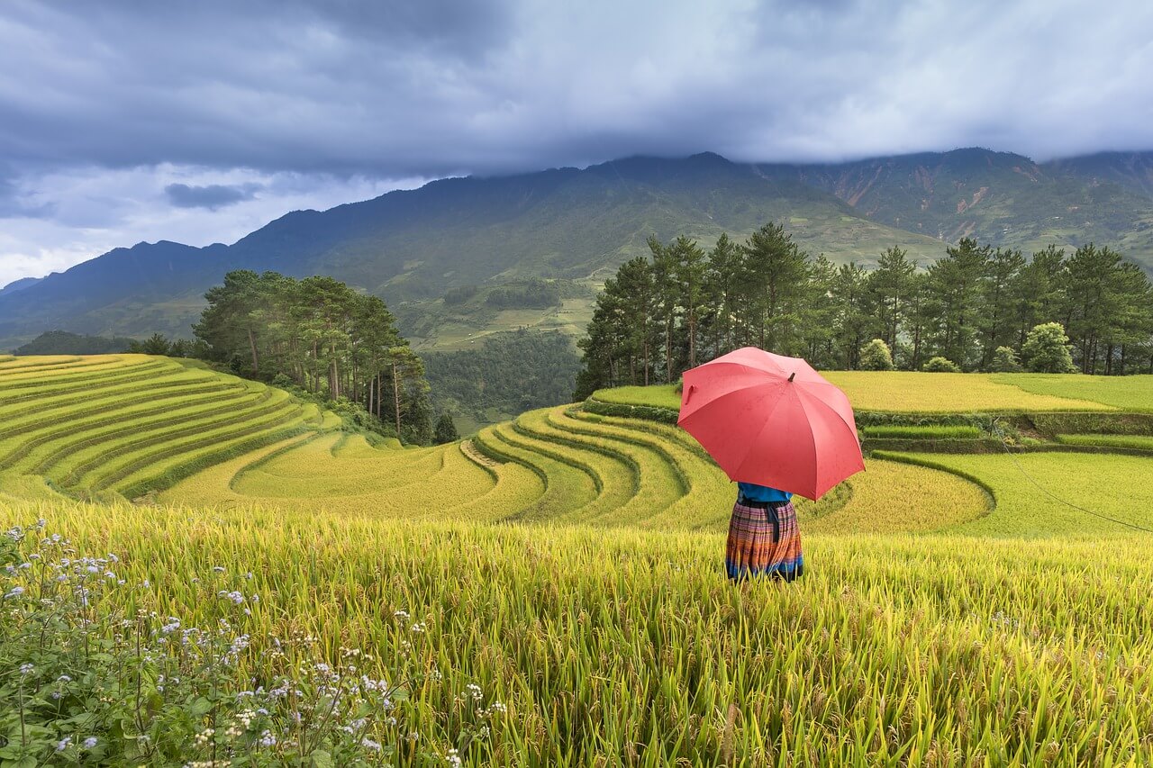Can Singaporean citizens apply for 5 year Vietnam visa 2023?