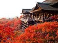 Cẩm nang du lịch Nhật Bản hữu ích dành cho bạn năm 2019