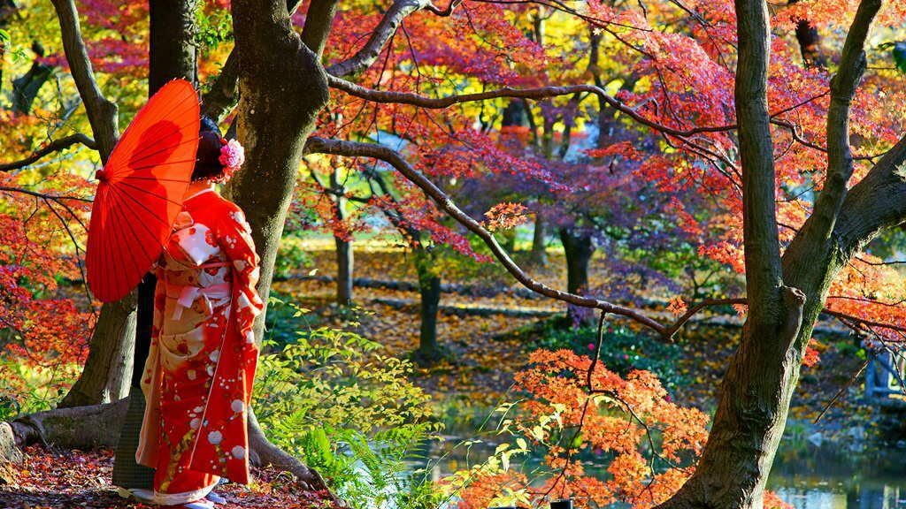 Du Lịch Nhật Bản Mùa Lá Đỏ Khoảng Thời Gian Lý Tưởng