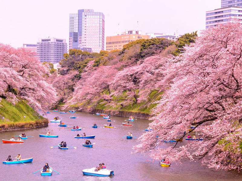 Du Lịch Nhật Bản Tháng 7 Mùa Hạ Điểm có gì hấp dẫn