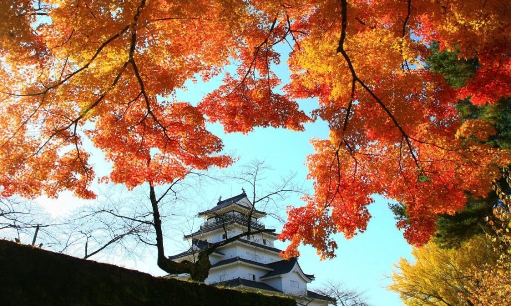Thành Tsuruga với cảnh đẹp của lá phong