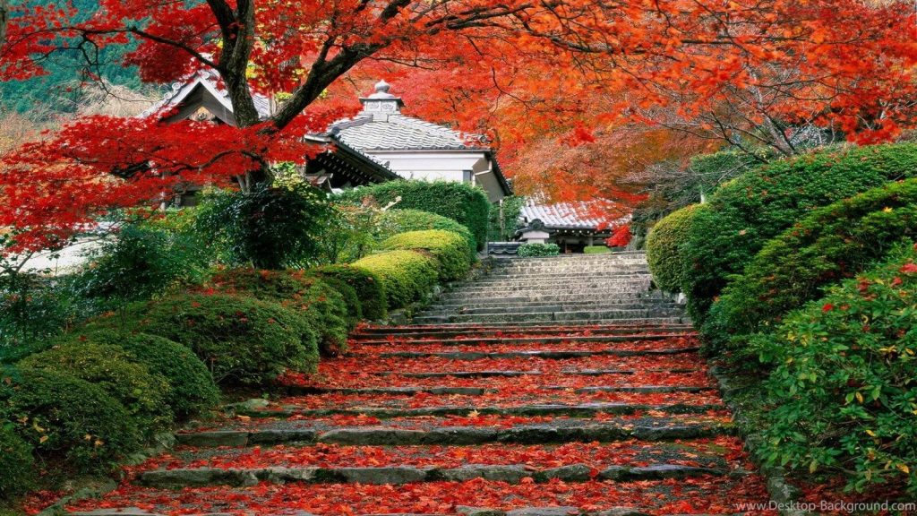  Vẻ đẹp mùa thu ở đất nước Nhật Bản. 