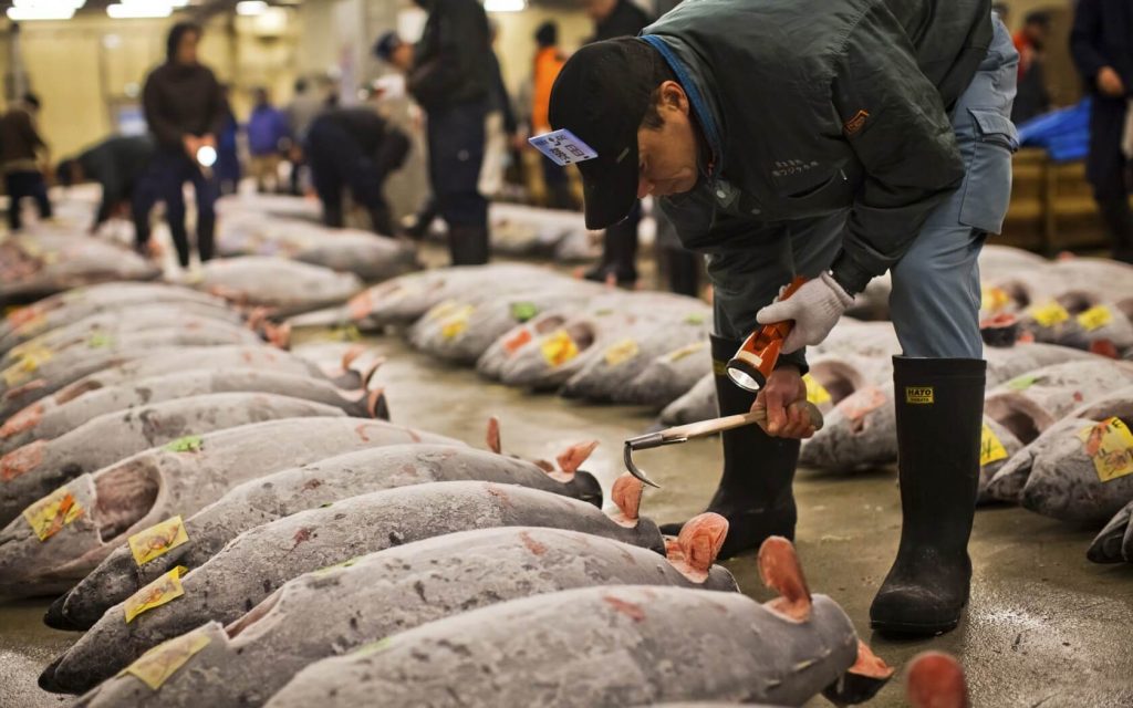  Đến chợ cá Tsukiji du khách sẽ được thưởng thức muôn ngàn những món ăn hấp dẫn từ hải sản tươi ngon 