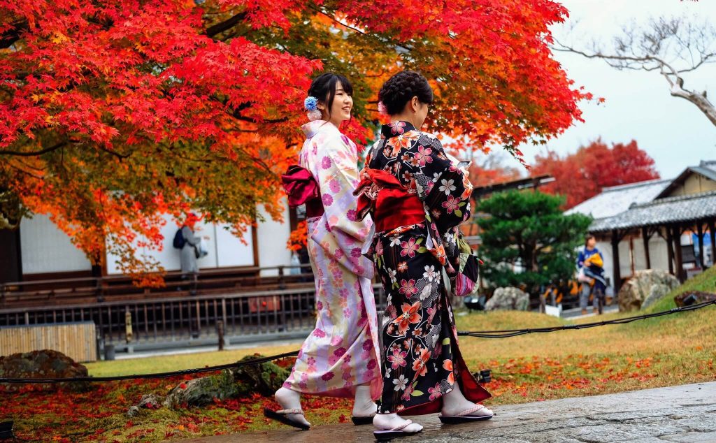 Du lịch Nhật Bản ngắm hoa anh đào 