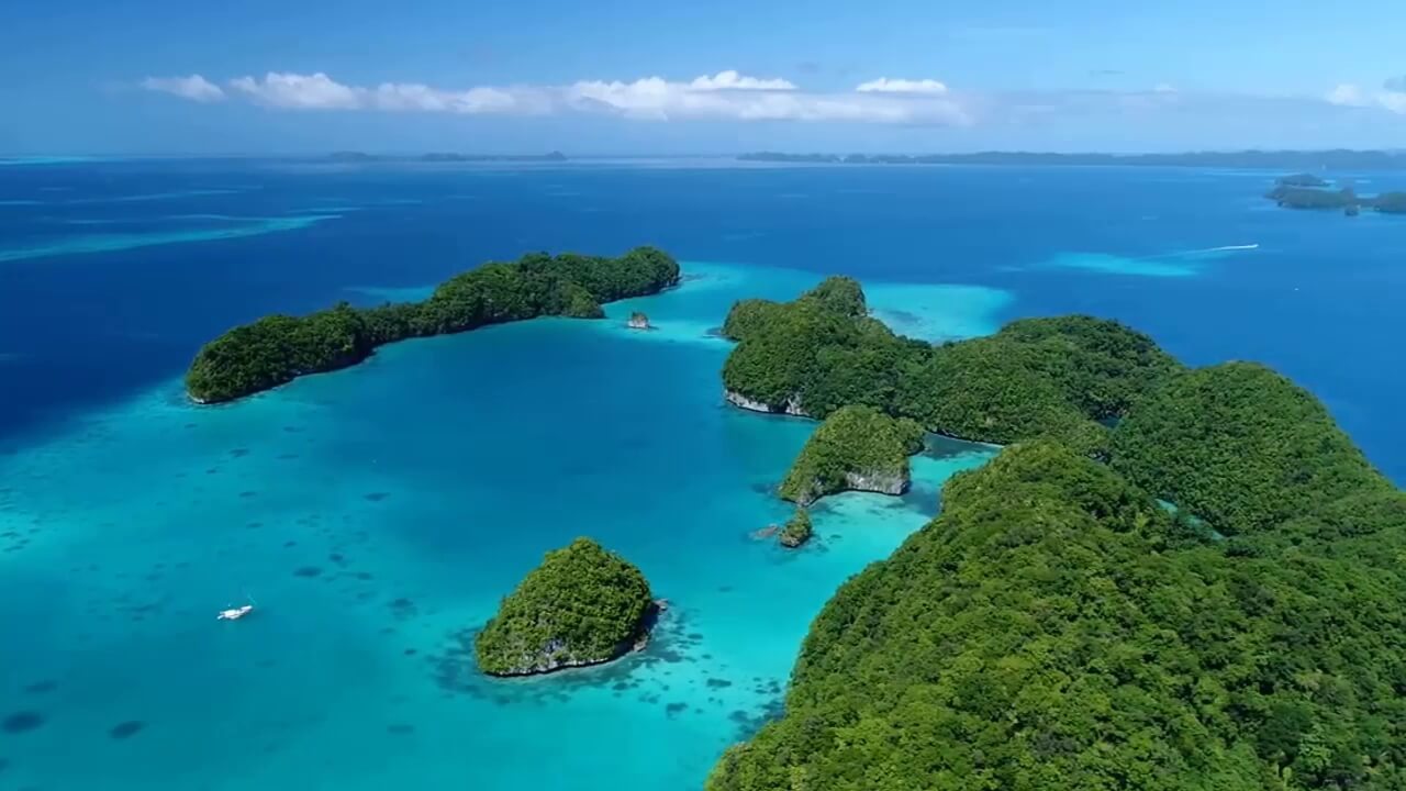 Du lịch Palau 2019: Bơi cùng hàng triệu con sứa quý hiếm
