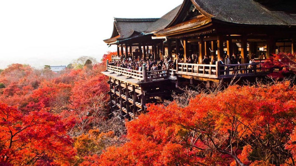 Cẩm nang du lịch Nhật Bản 2020 dành cho người chưa biết