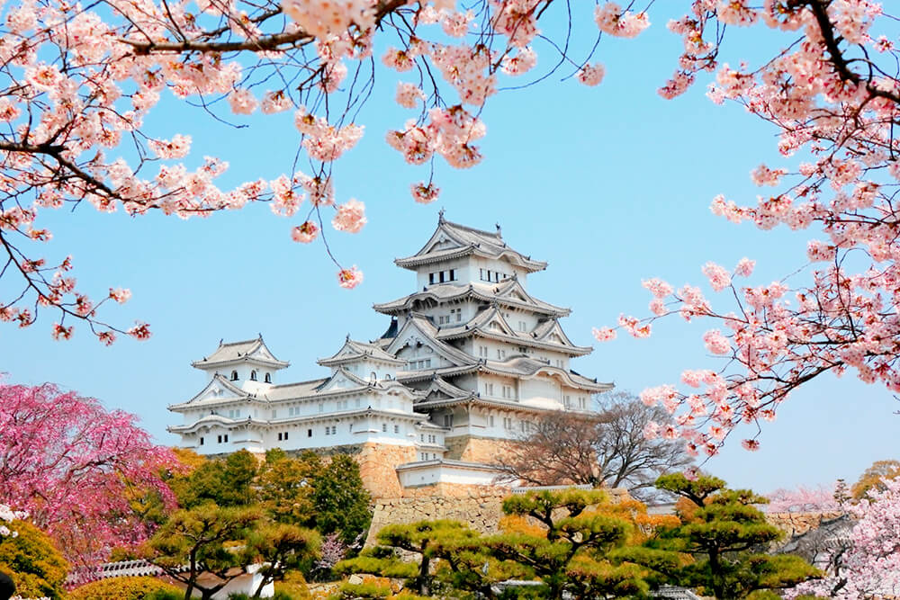 Lâu đài Himeji có tên là “White Heron” một trong ba thành quý nhất Nhật Bản