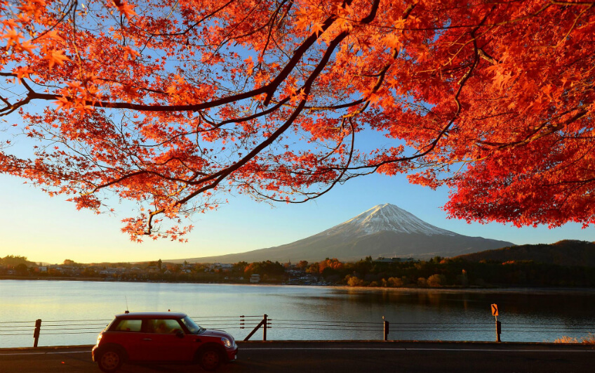 Du lịch Nhật Bản mùa lá đỏ 