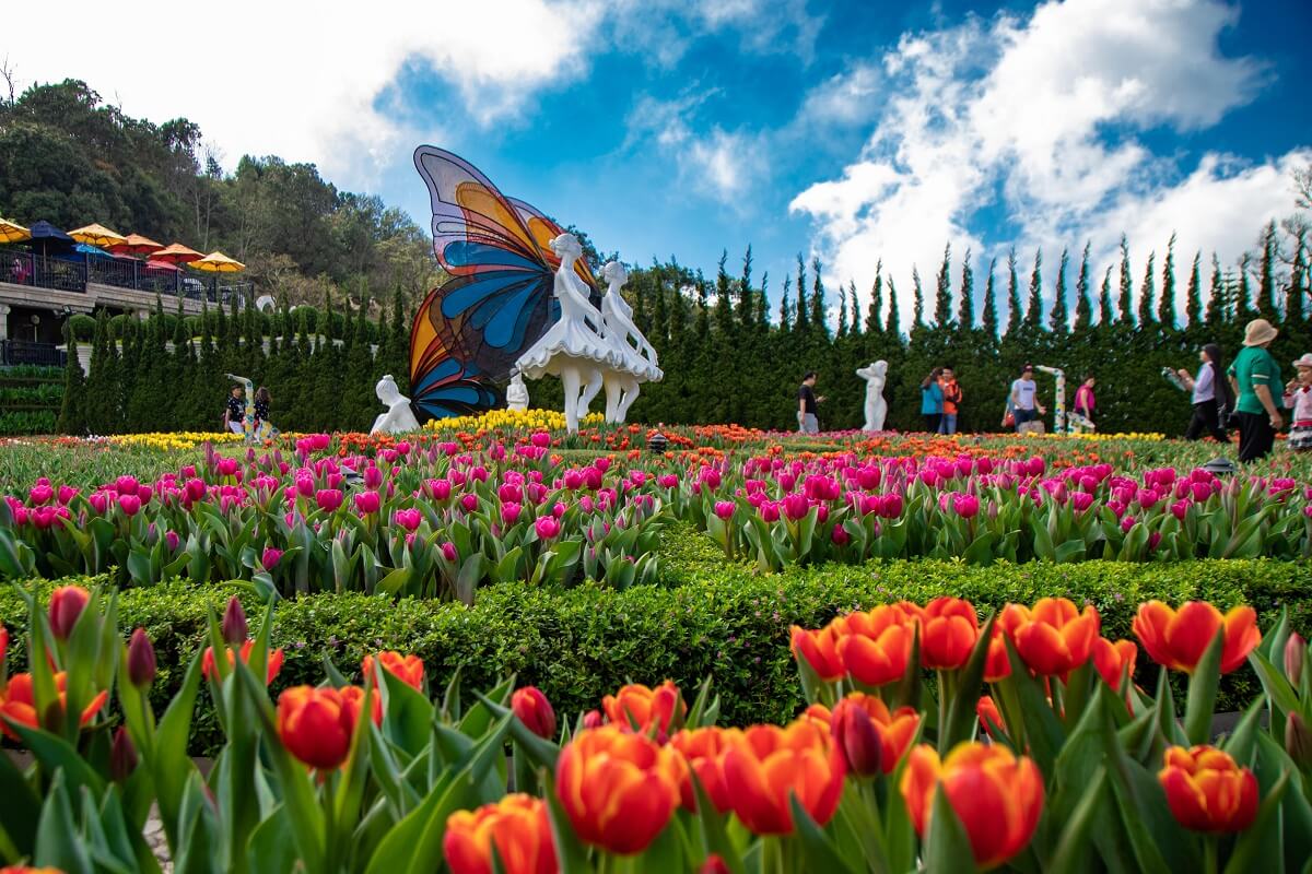 Vườn hoa Le Jardin D’Amour là địa điểm ngắm hoa hấp dẫn khi du lịch Bà Nà Hills