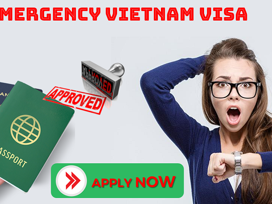 Emergency Vietnam Visa and Expedited Services from Singapore: Get Your Visa Fast
