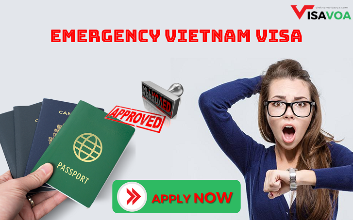 Super Urgent Vietnam Visa Service for Egypt Passport Holders - Fast-Track Your Journey to Vietnam with Ease